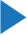 play icon